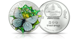 motyl skarbnica narodowa